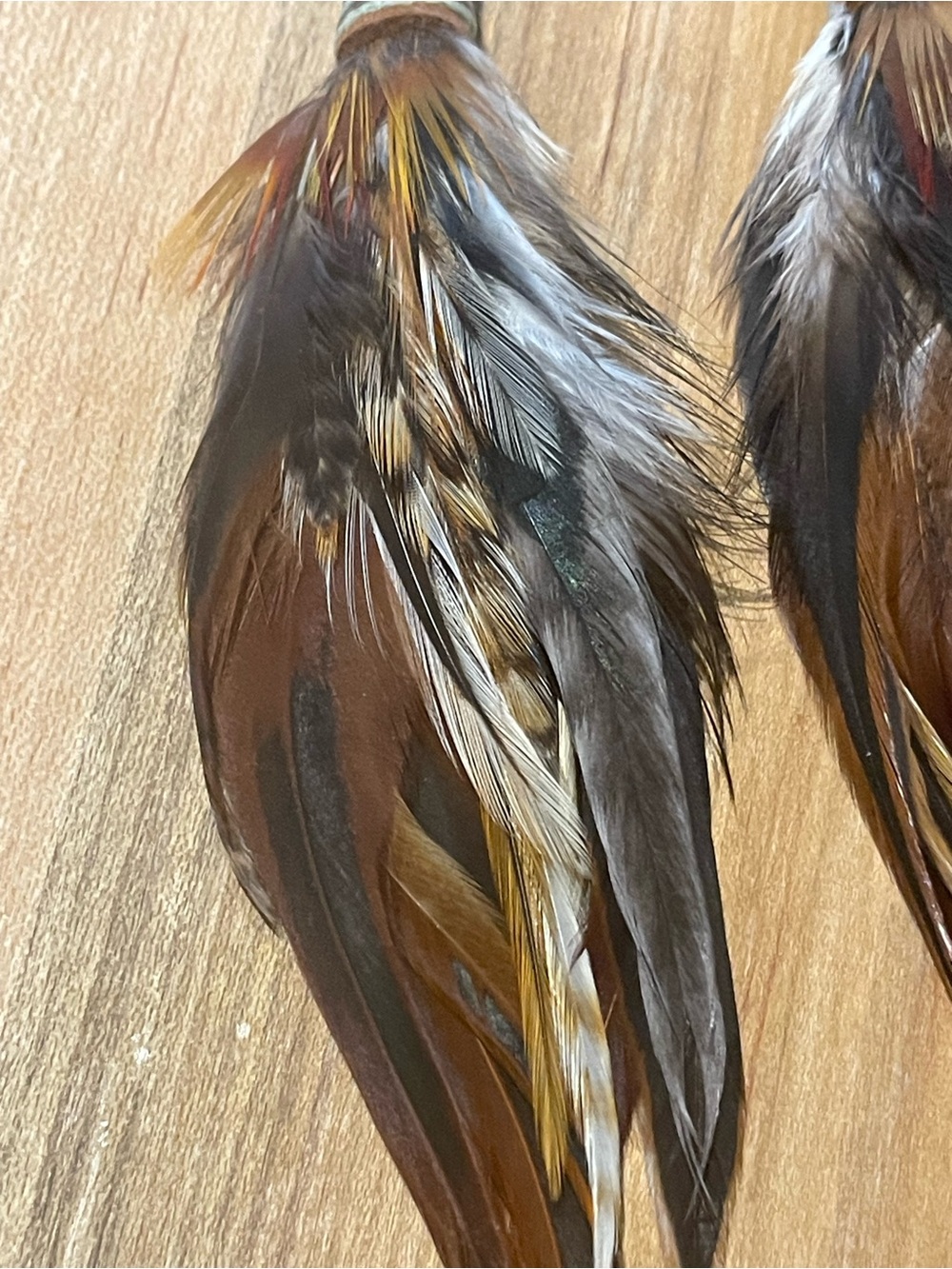 Boho Feather Dangle Earrings in Brown & Black - Picture 3 of 3